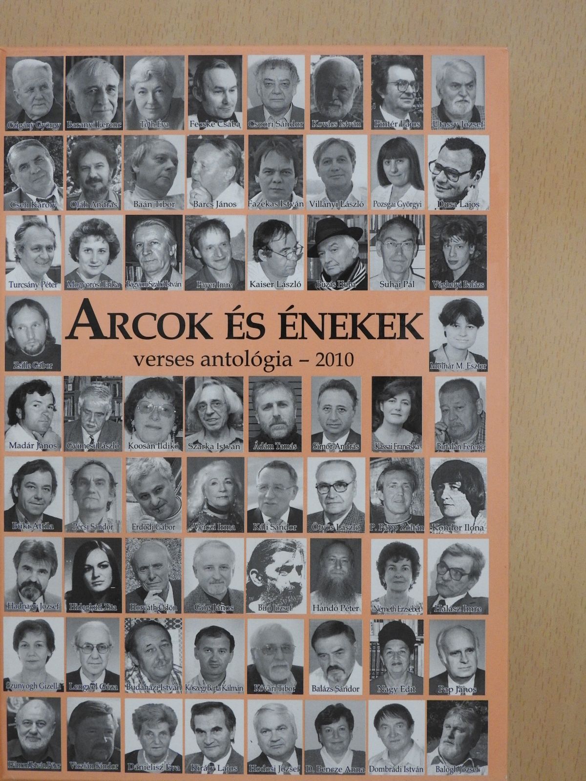 Abonyi Maya - Arcok és énekek 2010 (dedikált példány) [antikvár]