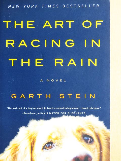 Garth Stein - The art of racing in the rain [antikvár]