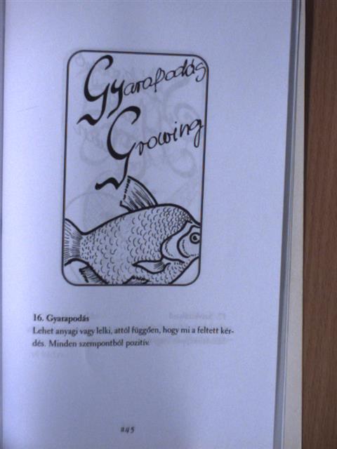 Schmidtné dr. Holló Erzsébet - Delej [antikvár]
