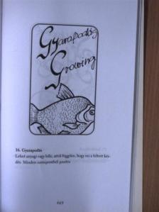 Schmidtné dr. Holló Erzsébet - Delej [antikvár]