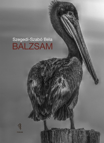 Szegedi Szabó Béla - Balzsam [eKönyv: epub, mobi]