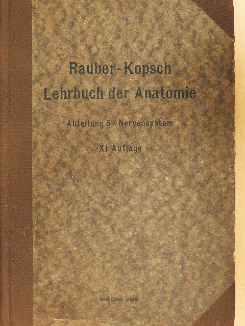 Prof. Fr. Kopsch - Rauber's Lehrbuch der Anatomie des Menschen Abteilung 5. (töredék) [antikvár]