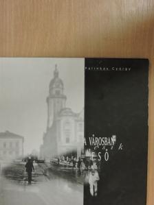 Pálinkás György - A városban esik az eső [antikvár]