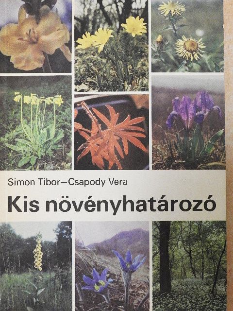 Csapody Vera - Kis növényhatározó rendszertani és ökológiai tájékoztatóval [antikvár]