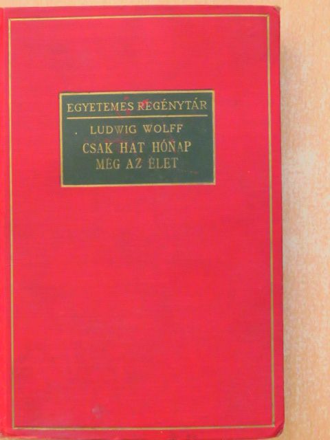 Ludwig Wolff - Csak hat hónap még az élet [antikvár]