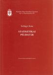 Szilágyi Kata - Statisztikai példatár [antikvár]