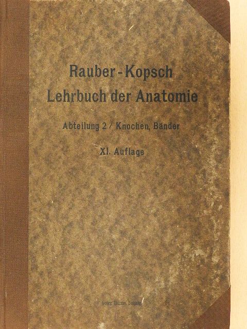 Prof. Dr. Fr. Kopsch - Rauber's Lehrbuch der Anatomie des Menschen 2. (töredék) [antikvár]