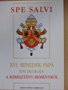 XVI. Benedek pápa - XVI. Benedek pápa Spe Salvi kezdetű enciklikája a keresztény reményről [antikvár]