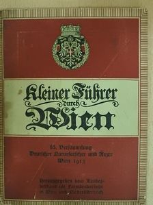 Professor Dr. Friedrich Umlauft - Kleiner Führer durch Wien [antikvár]