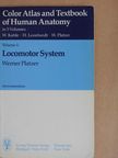 Werner Platzer - Color Atlas and Textbook of Human Anatomy 1. [antikvár]