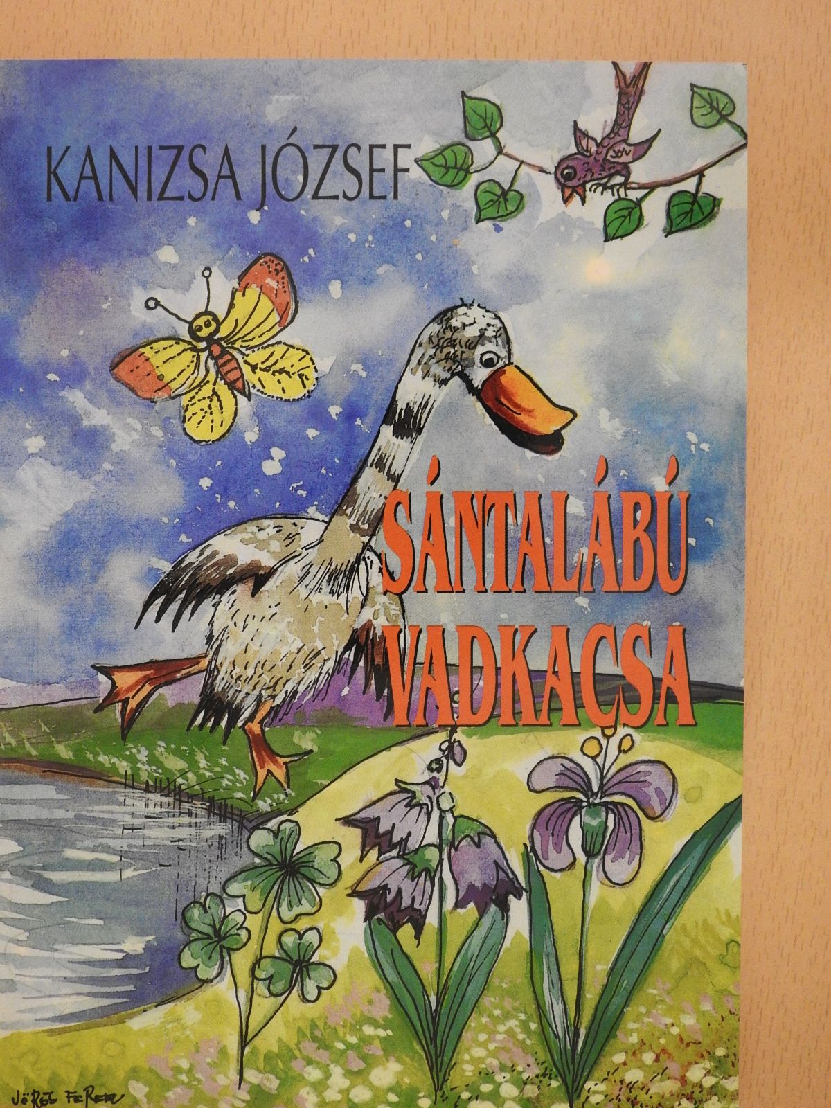 Kanizsa József - Sántalábú vadkacsa (dedikált példány) [antikvár]