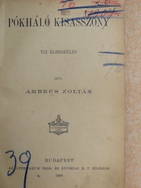 Ambrus Zoltán - Pókháló kisasszony [antikvár]
