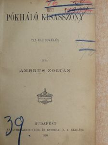 Ambrus Zoltán - Pókháló kisasszony [antikvár]
