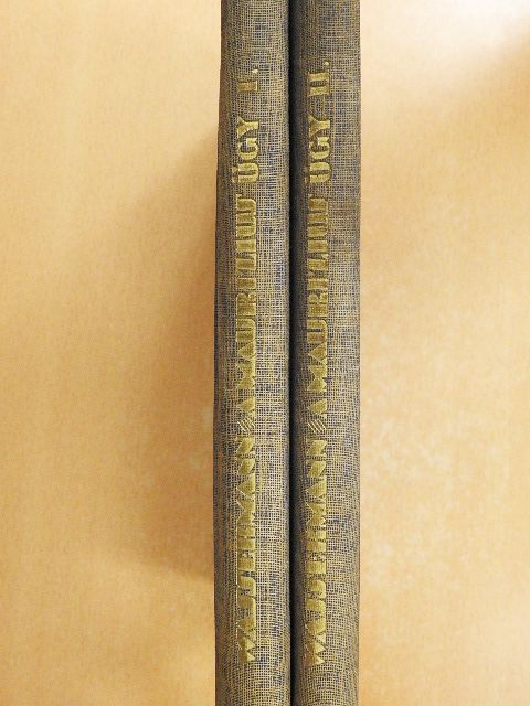 Jakob Wassermann - A Maurizius-ügy I-II. [antikvár]