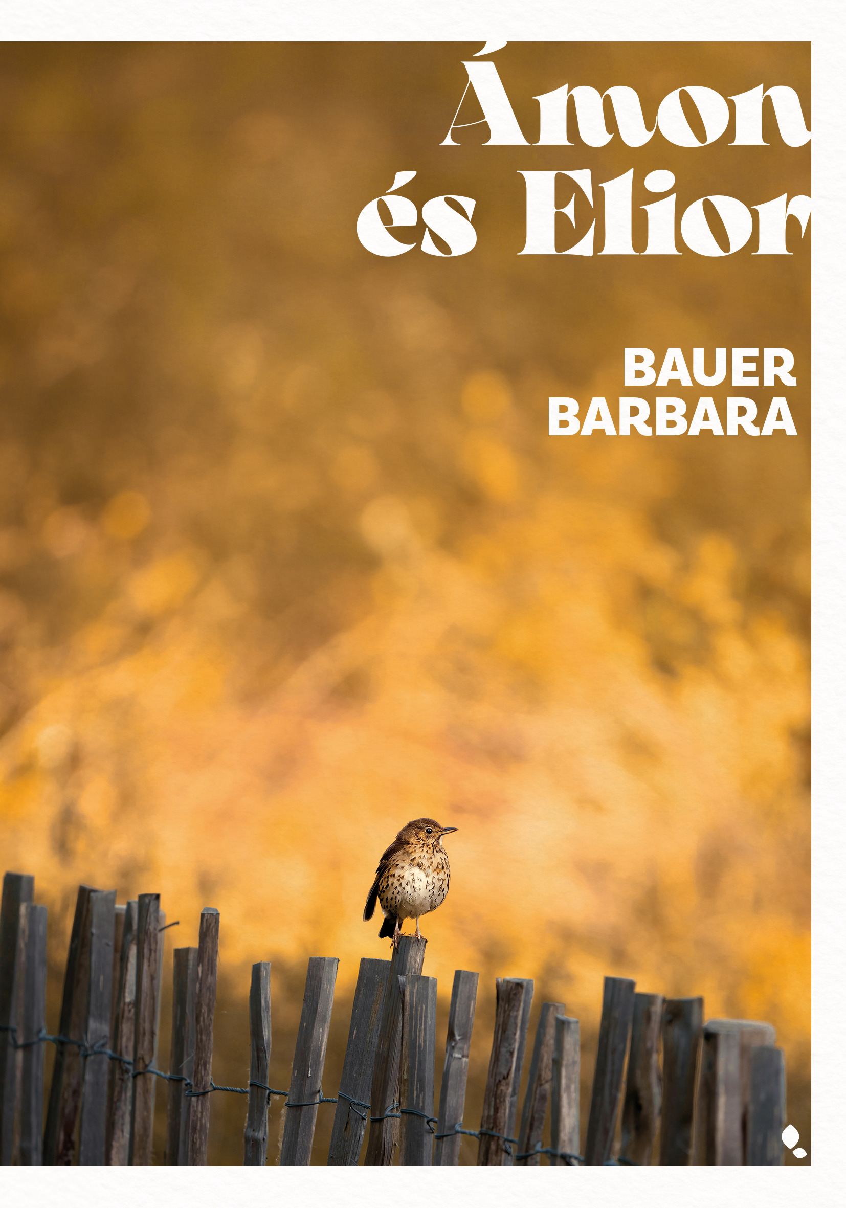 Bauer Barbara - Ámon és Elior [eKönyv: epub, mobi]