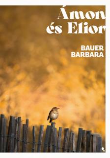 Bauer Barbara - Ámon és Elior [eKönyv: epub, mobi]