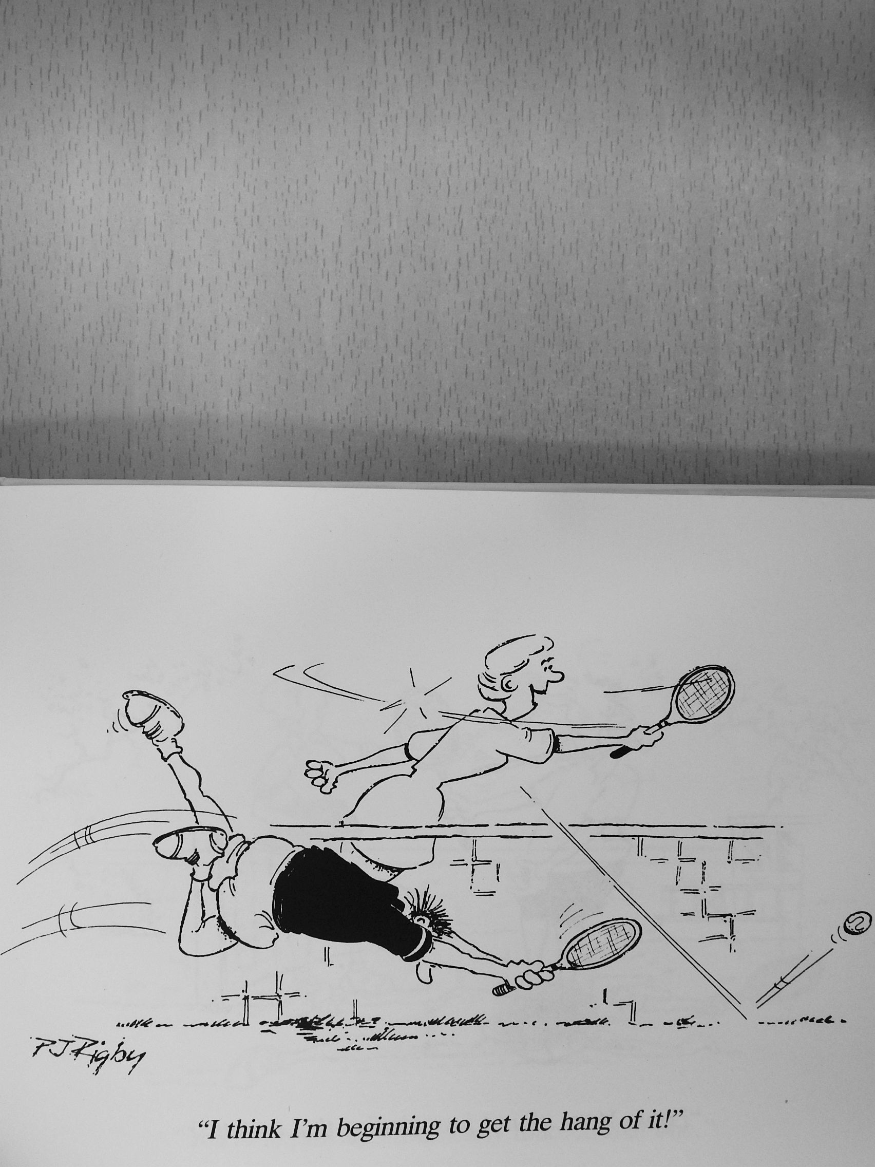 Peter Rigby - The Crazy World of Tennis [antikvár]