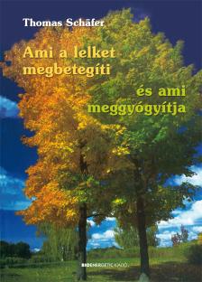 Schäfer, Thomas - Ami a lelket megbetegíti