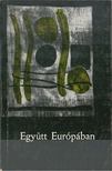 SZÉPFALUSI ISTVÁN - Együtt Európában [antikvár]