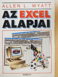 Allen L. Wyatt - Az Excel alapjai [antikvár]