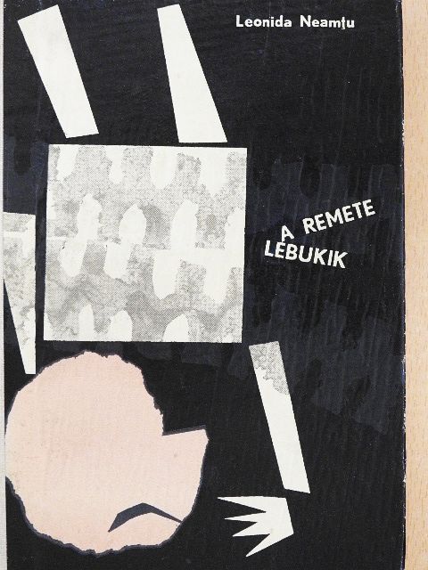 Leonida Neamtu - A remete lebukik [antikvár]