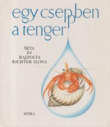 Richter Ilona - Egy cseppben a tenger (dedikált) [antikvár]