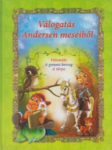 Dorota Skwark - Válogatás Andersen meséiből [antikvár]