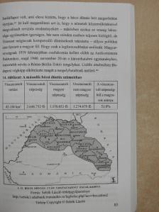 Vizi László Tamás - A sérelmi politizálástól a nemzeti összetartozásig [antikvár]