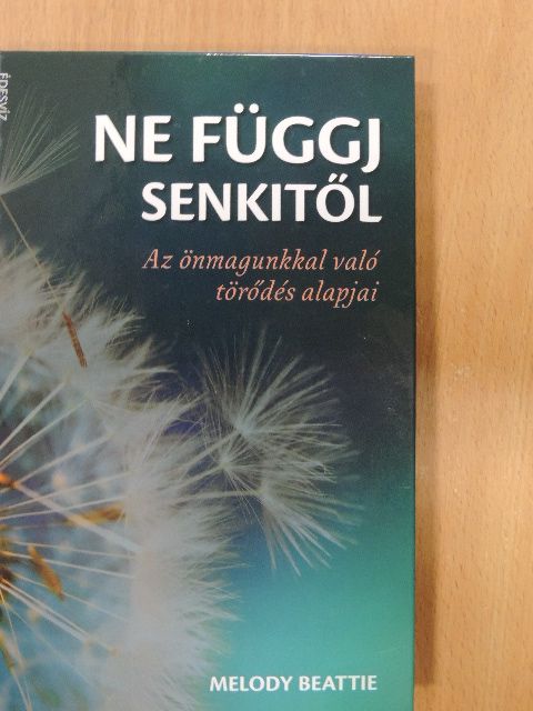 Melody Beattie - Ne függj senkitől! [antikvár]
