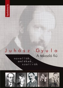JUHÁSZ GYULA - A tékozló fiú [eKönyv: epub, mobi]