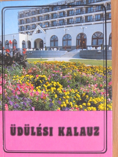 Bányai János - Üdülési kalauz [antikvár]