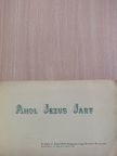 Ahol Jézus járt [antikvár]