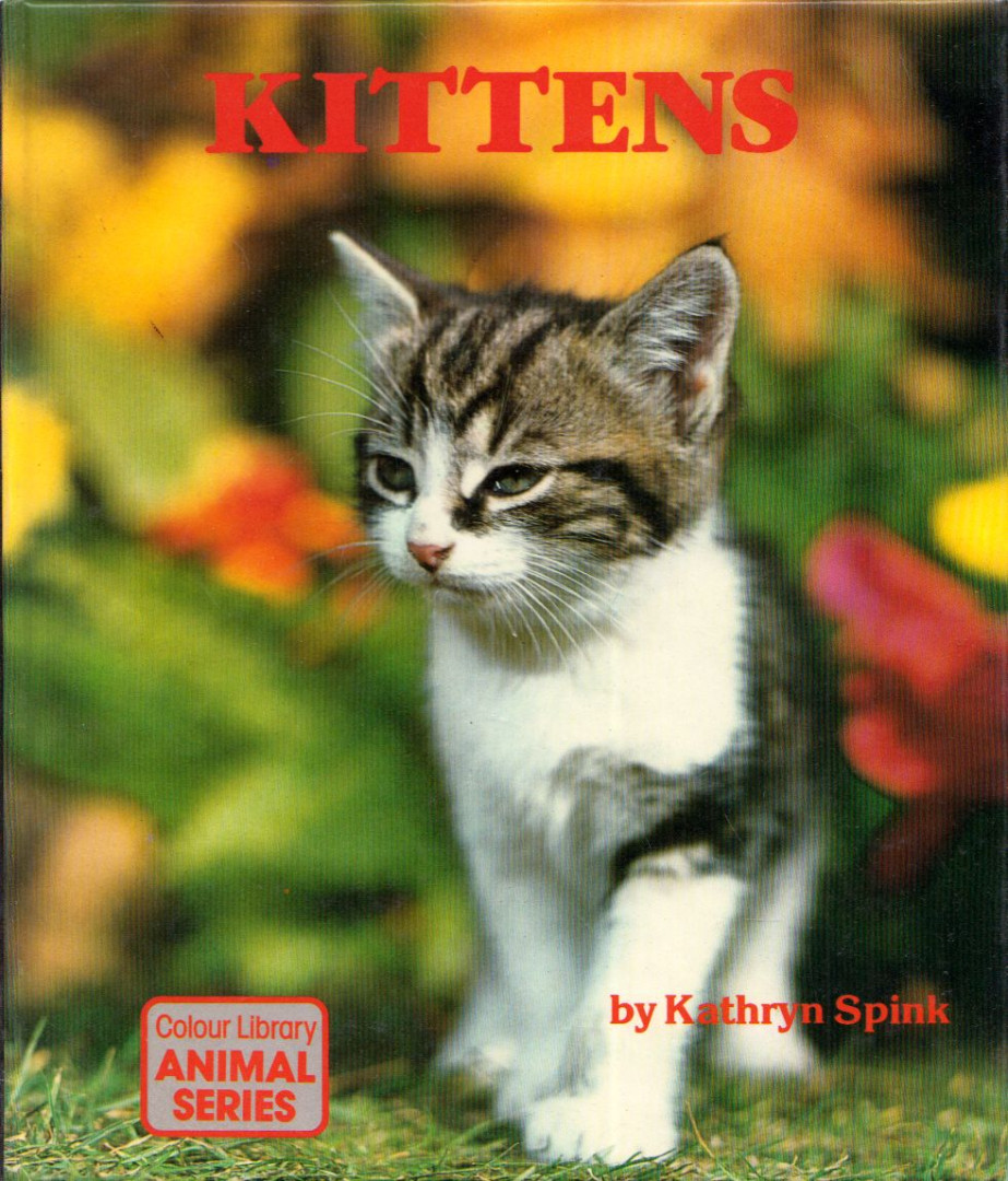 Kathryn Spink - Kittens [antikvár]