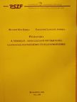 Blumné Bán Erika - Példatár I. - A termelő-szolgáltató tevékenység gazdasági elemzéséhez és ellenőrzéséhez [antikvár]