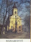 Pacsay Fidél - Máriabesnyő [antikvár]
