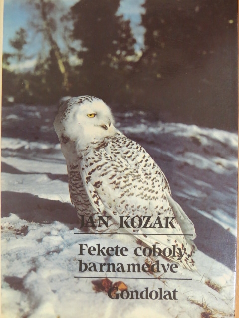 Jan Kozák - Fekete coboly, barnamedve [antikvár]