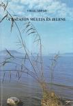 Virág Árpád - A Balaton múltja és jelene [antikvár]
