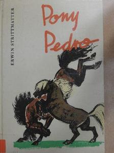 Erwin Strittmatter - Pony Pedro [antikvár]
