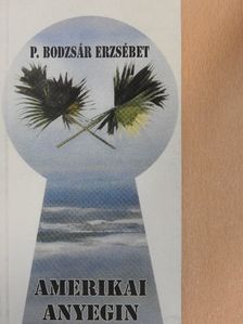 P. Bodzsár Erzsébet - Amerikai Anyegin [antikvár]