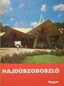 Dr. Juhász Imre - Hajdúszoboszló [antikvár]