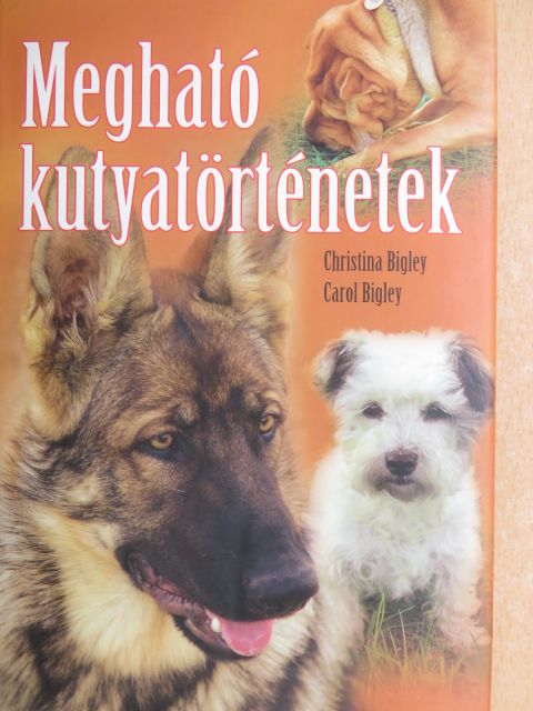 Carol Bigley - Megható kutyatörténetek [antikvár]