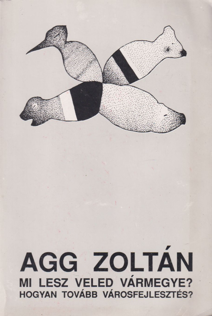 Agg Zoltán - Mi lesz veled vármegye? [antikvár]