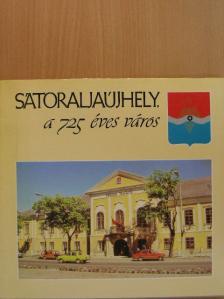 Dr. Kováts Dániel - Sátoraljaújhely, a 725 éves város [antikvár]