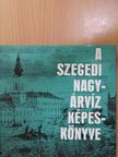 Tóth Béla - A szegedi nagyárvíz képeskönyve (dedikált példány) [antikvár]