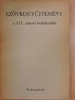 Ady Endre - Szöveggyűjtemény a XIX. század irodalmából [antikvár]
