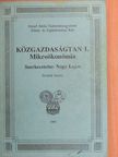 Lehoczki Zsuzsa - Közgazdaságtan I. [antikvár]