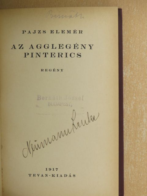 Pajzs Elemér - Az agglegény Pinterics [antikvár]