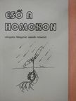Csontosné Tompa Anna - Eső a homokon (dedikált példány) [antikvár]