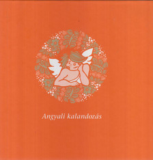 Kerényi B. Eszter - Angyali kalandozás [antikvár]