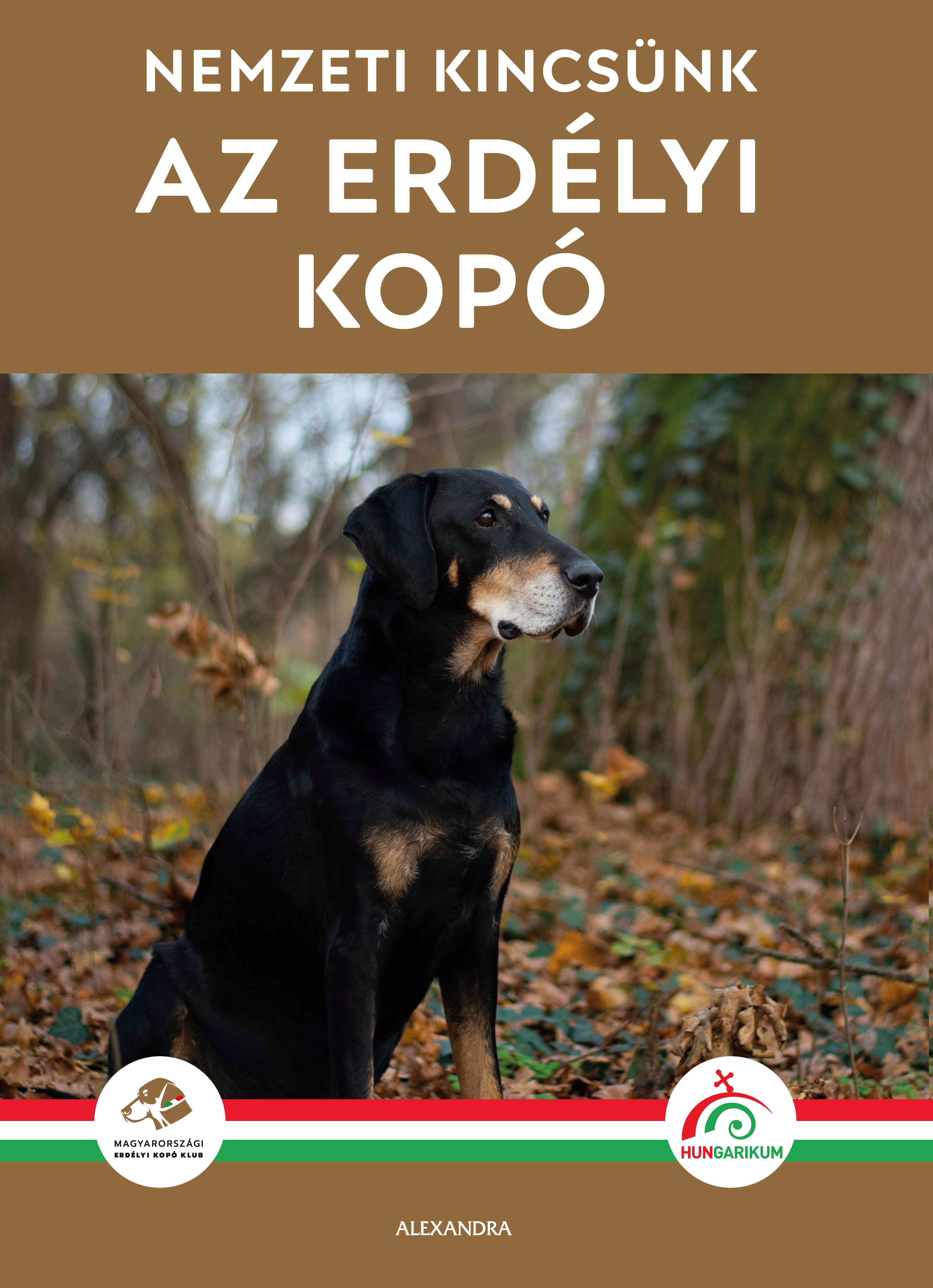 Magyarországi Erdélyi Kopó Klub - Az erdélyi kopó
